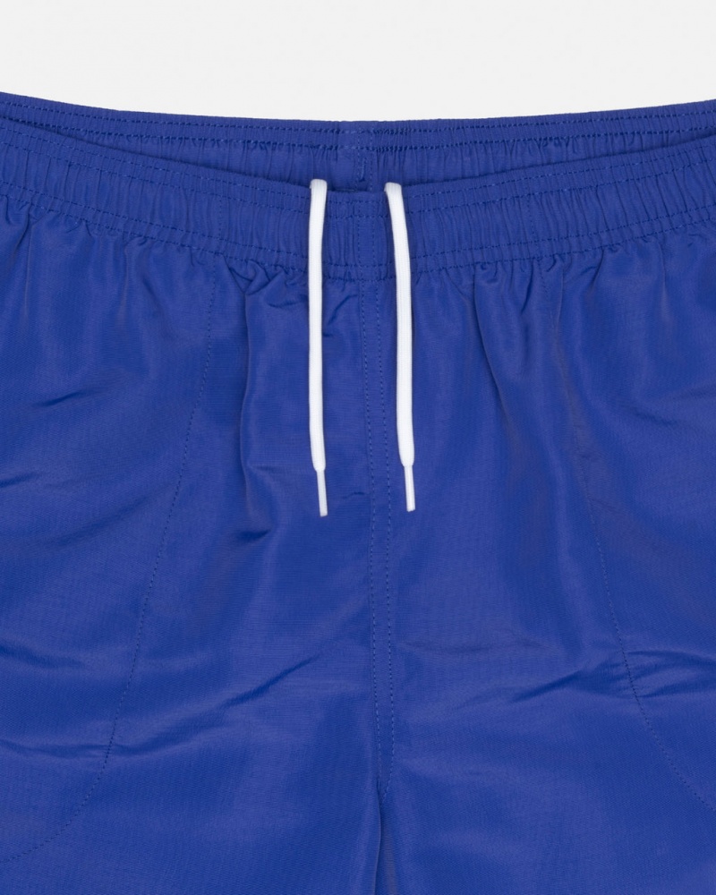 Stussy Vesi Lyhyt Big Basic - Unisex Shorts Trunks Kuninkaallinen Sininen | UFITG13265