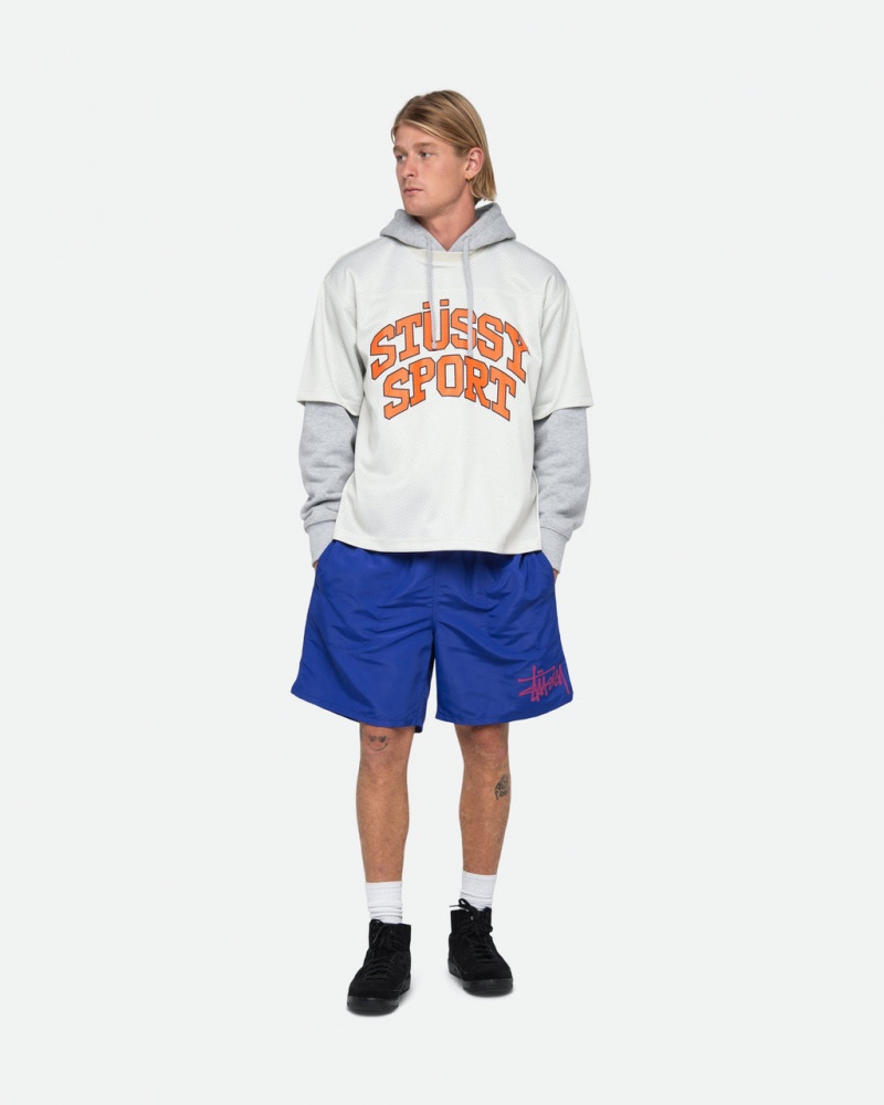 Stussy Vesi Lyhyt Big Basic - Unisex Shorts Trunks Kuninkaallinen Sininen | UFITG13265